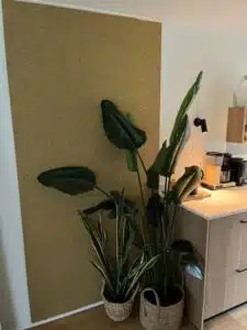 Biobased keukenproject in Leeuwarden met natuurlijke materialen en planten
