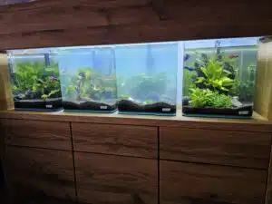 Eiken maatwerk kast aquarium Blaricum