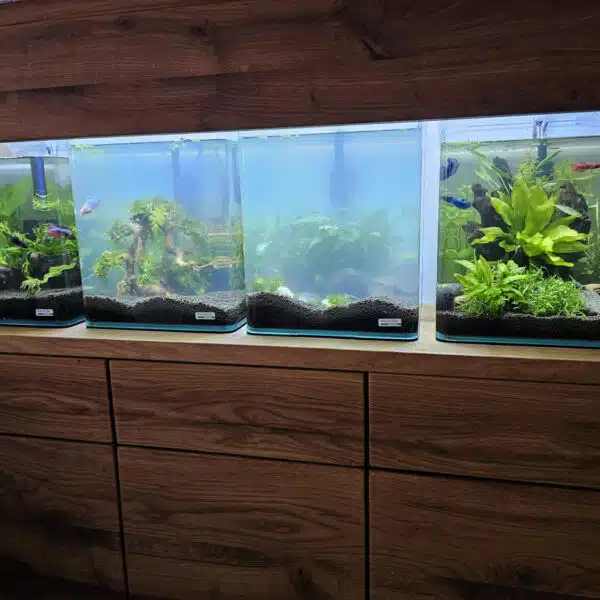Eiken maatwerk kast aquarium Blaricum